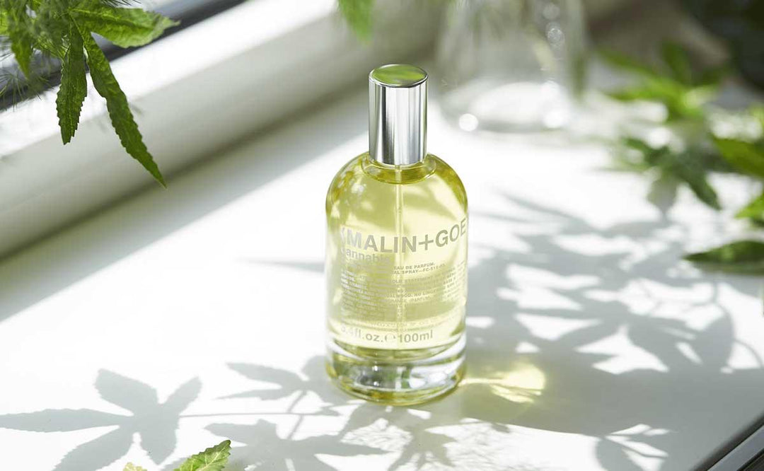 Malin+Goetz perfume bottle with natural light and plant shadows.