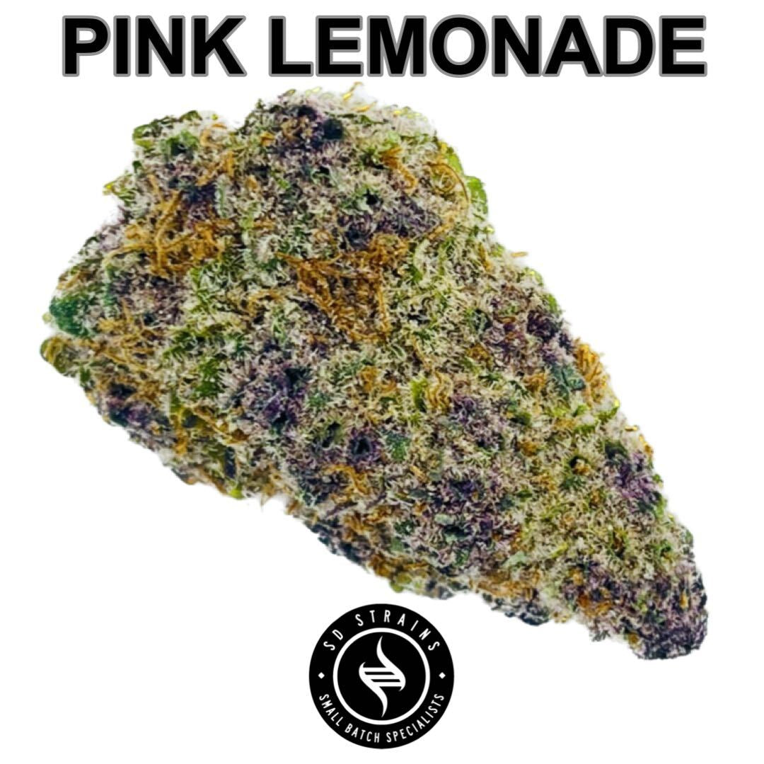 SD Strains Flower | PINK LEMONADE | (Get a Penny Smalls for $0.01)