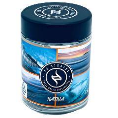 SD Strains Flower White Rainbow Sativa cannabis in a sealed jar with vibrant ocean-themed design. Premium 1 oz flower for stress relief and mood enhancement.