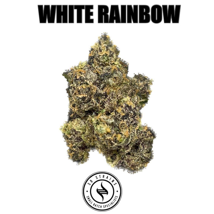 SD Strains Flower White Rainbow cannabis flower, showcasing dense, trichome-rich buds with vibrant green and purple hues. Premium 1 oz flower for relaxation and euphoria.